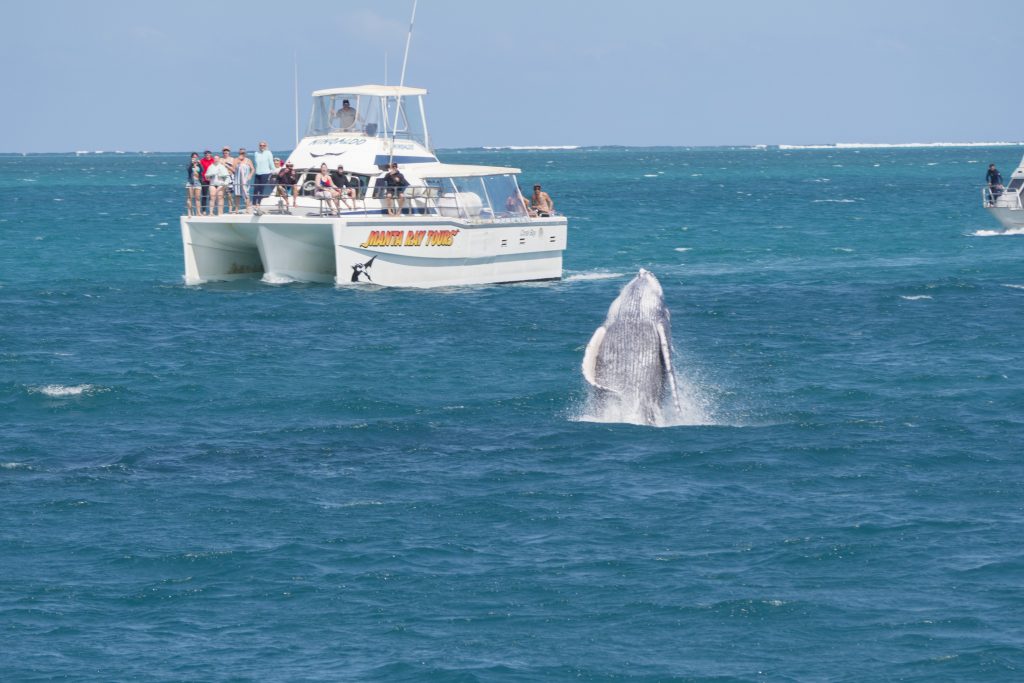 So many reasons to visit Ningaloo Coral Bay